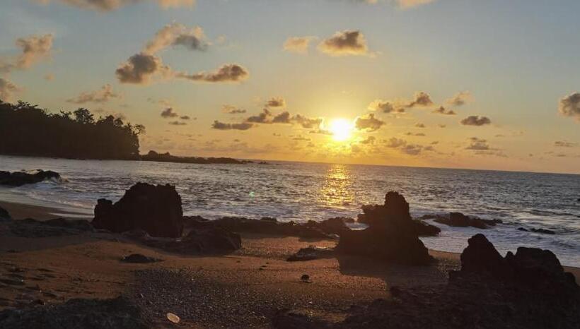 민박 Cabinas Corcovado Green Parrot, Los Planes Drake