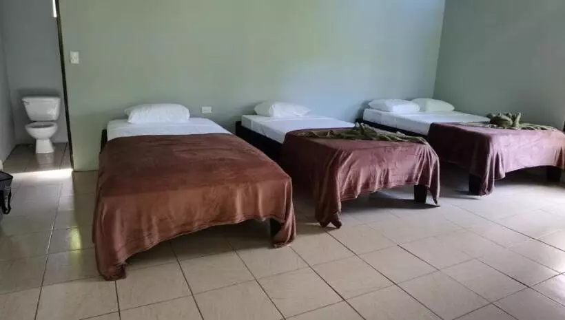 تختخواب و صبحانه Cabinas Corcovado Green Parrot, Los Planes Drake