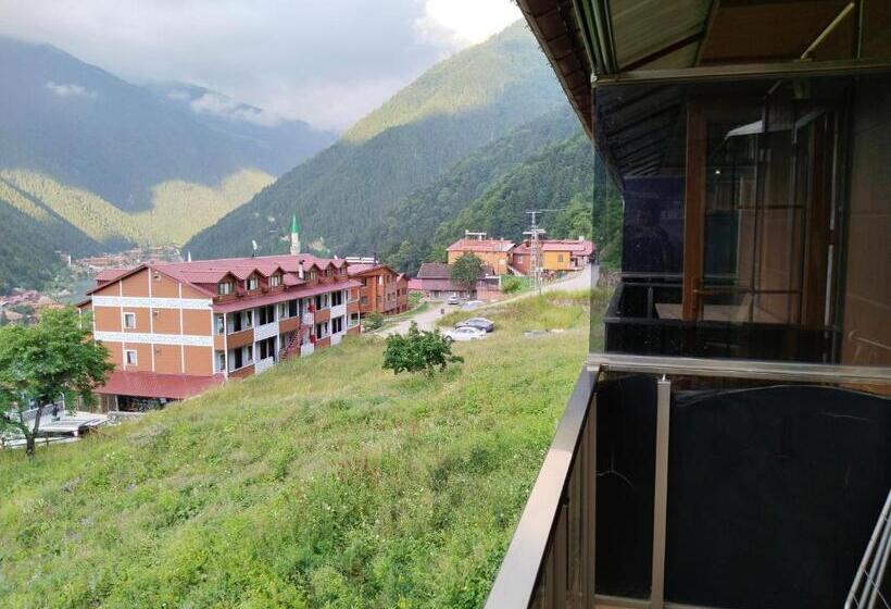 Monoi̇r Sui̇te Apart In Uzungöl
