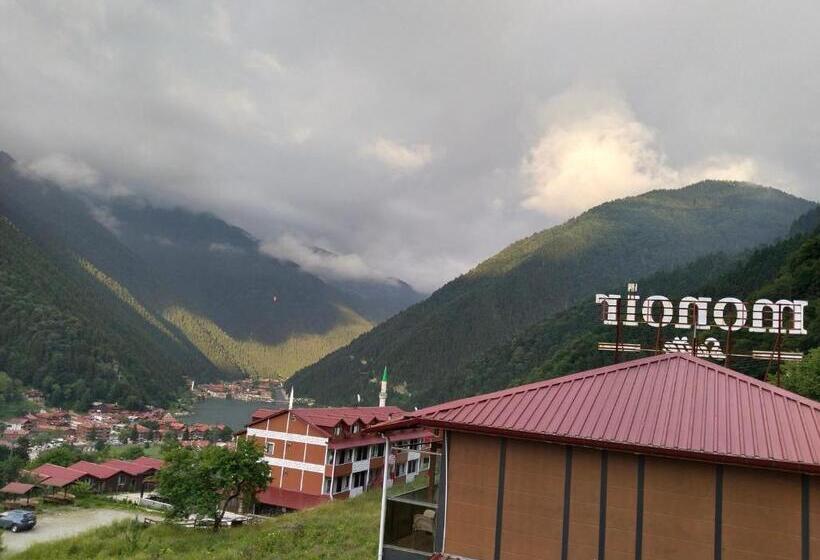 Monoi̇r Sui̇te Apart In Uzungöl