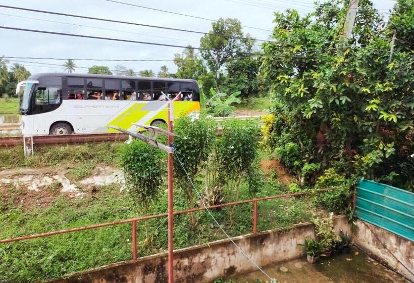 פנסיון Aunora Superior Room