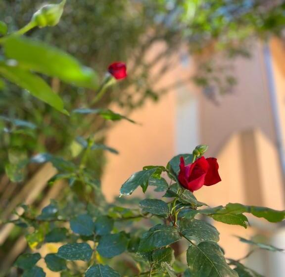 פנסיון Chambre Indépendante à Lezignan La Cèbe