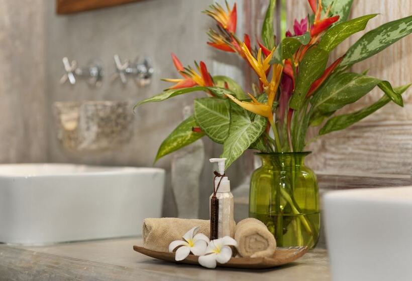 渡假胜地  Nirbana Retreat