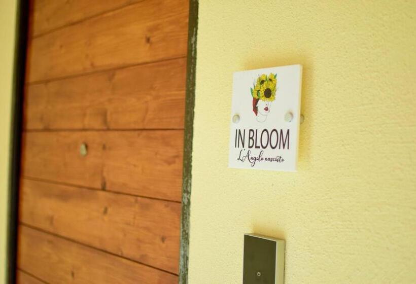 In Bloom B&b