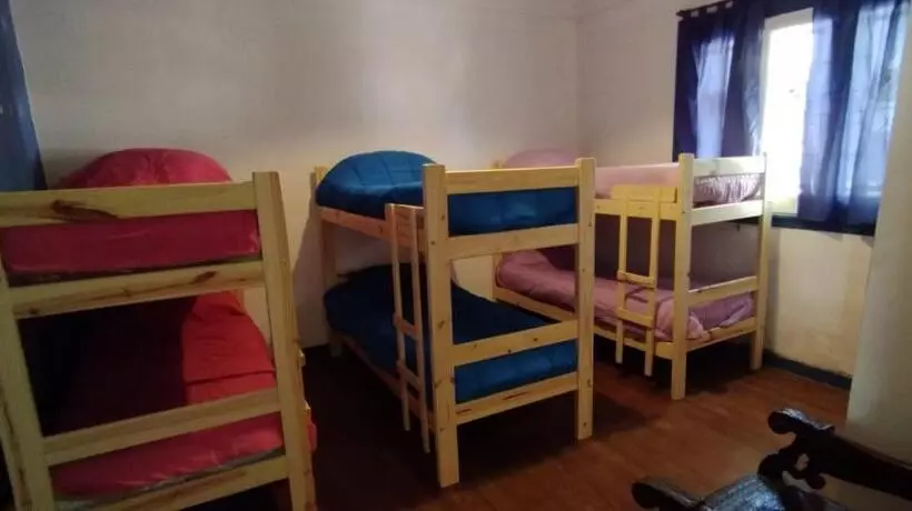 تختخواب و صبحانه Maui Hostel