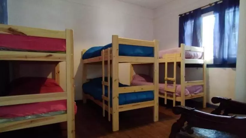تختخواب و صبحانه Maui Hostel