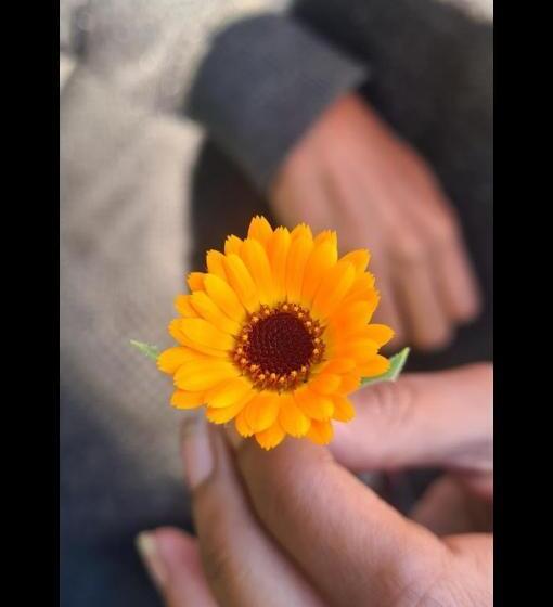 Formosa Cafe & Hostel