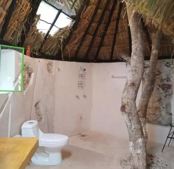 ホテル Y Museo Aldea Maya Toktli Orígenes   Suite Casa Maya Del Jabín   Alberca, Wifi Starlink, Tour Museo