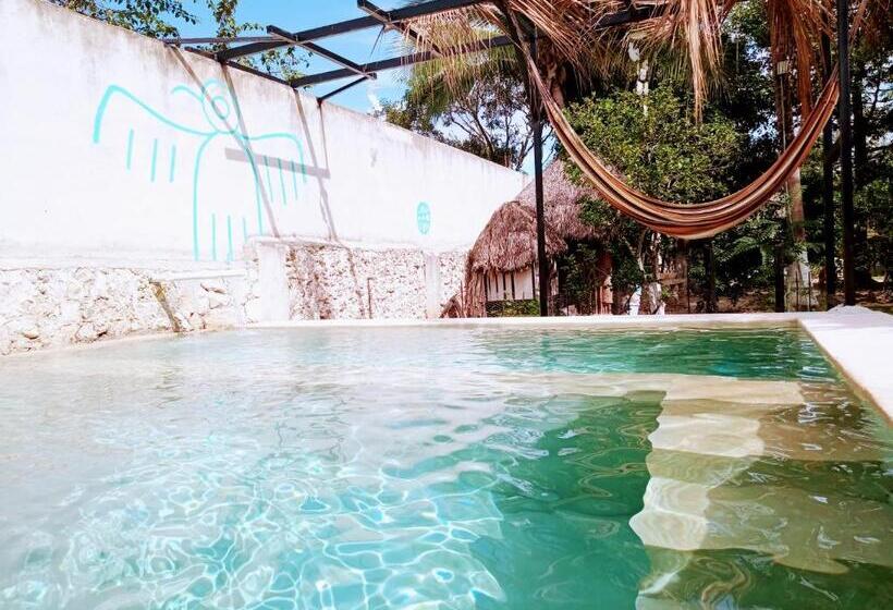 هتل Y Museo Aldea Maya Toktli Orígenes   Suite Casa Maya Del Jabín   Alberca, Wifi Starlink, Tour Museo