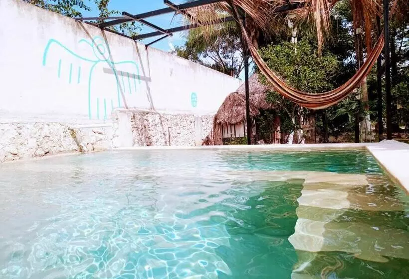 ホテル Y Museo Aldea Maya Toktli Orígenes   Suite Casa Maya Del Jabín   Alberca, Wifi Starlink, Tour Museo