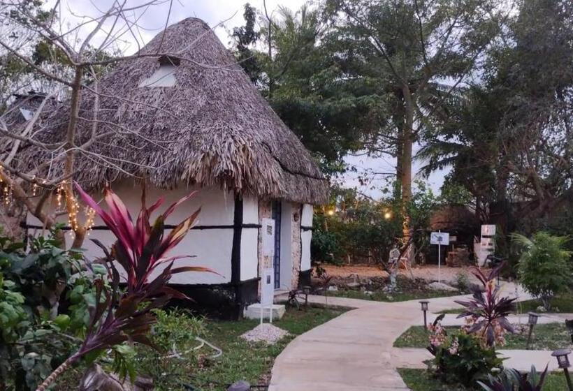 هتل Y Museo Aldea Maya Toktli Orígenes   Suite Casa Maya Del Jabín   Alberca, Wifi Starlink, Tour Museo