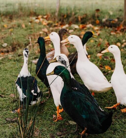 فندق Hideaway Farmlet Romantic Cottage With Miniature Goats
