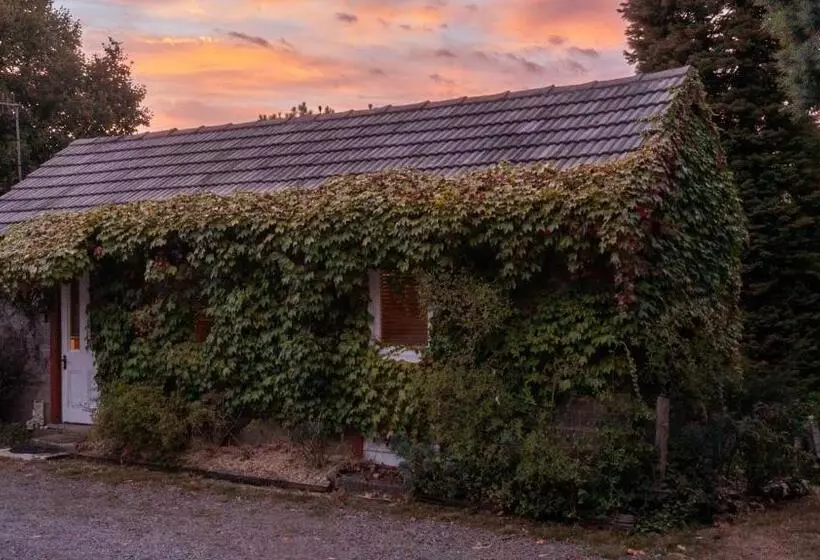 ホテル Hideaway Farmlet Romantic Cottage With Miniature Goats
