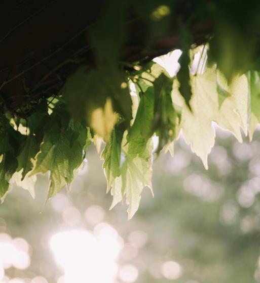 فندق Hideaway Farmlet Romantic Cottage With Miniature Goats