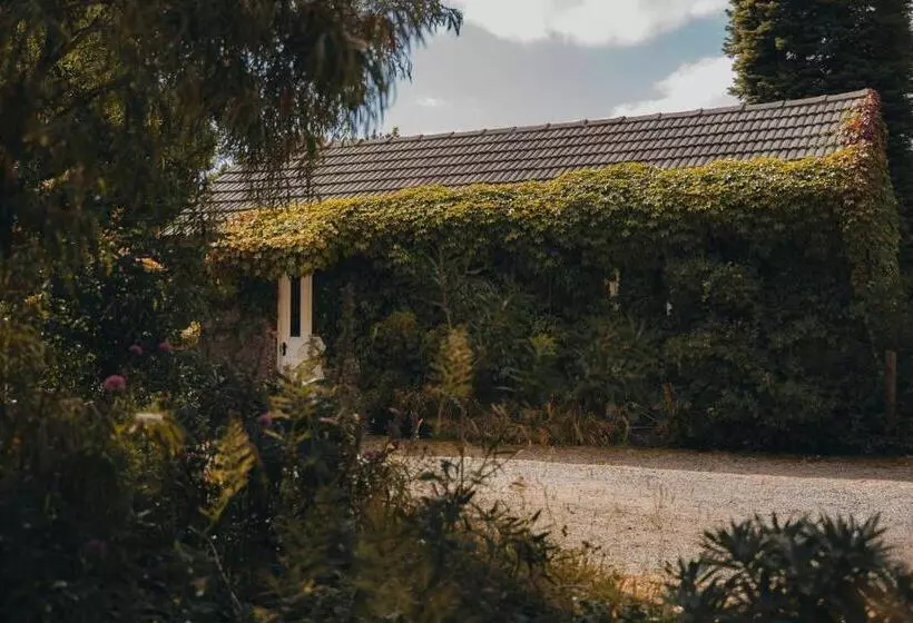 ホテル Hideaway Farmlet Romantic Cottage With Miniature Goats