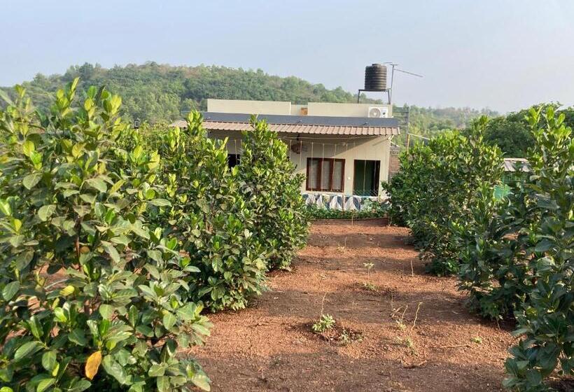 בית מלון כפרי Mo’s Agro