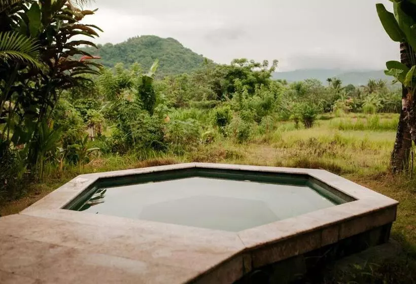 Hotelli Sunrise Paradise Bali