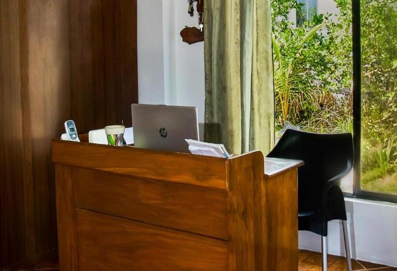 Pension Penguin House