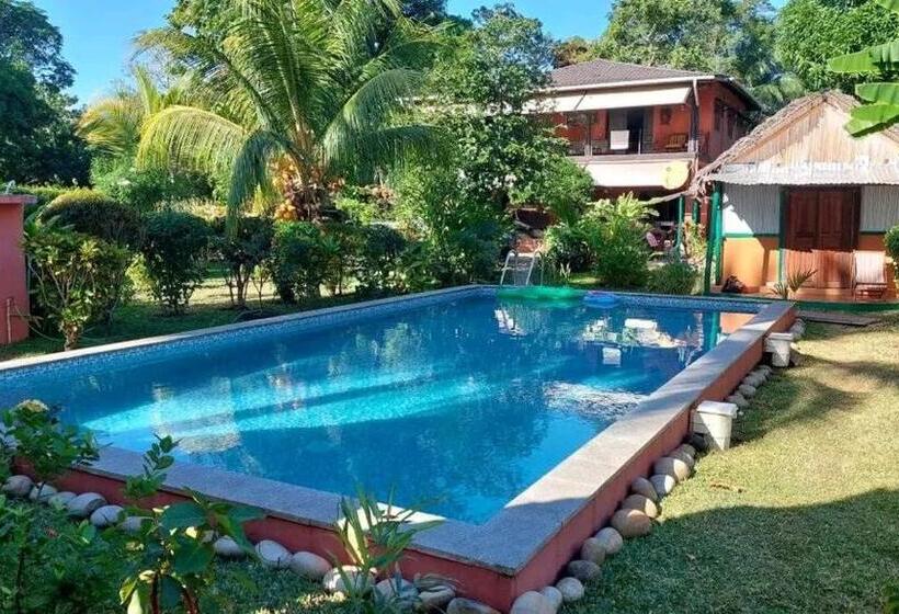 تختخواب و صبحانه Piscine Bimoko