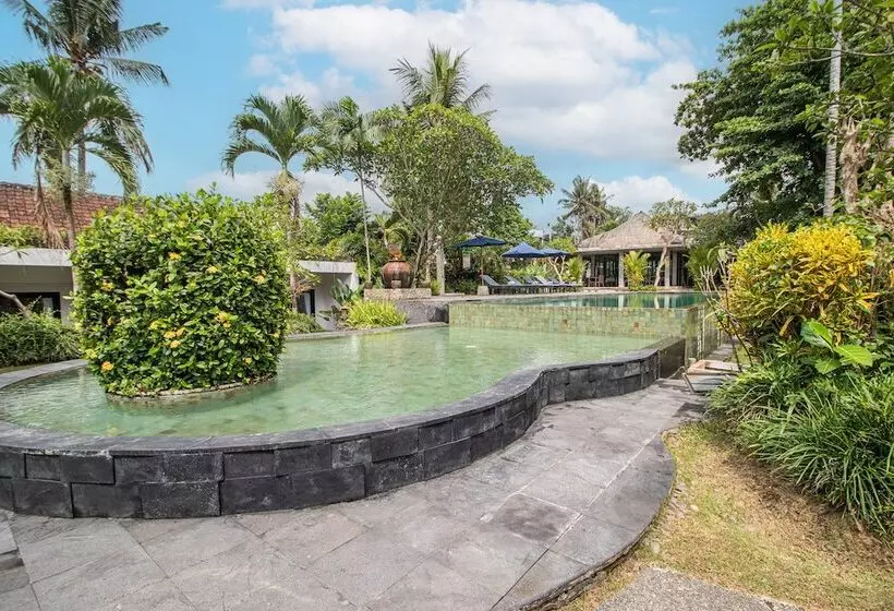 Hotelli Belvilla Y Resort Near Monkey Forest