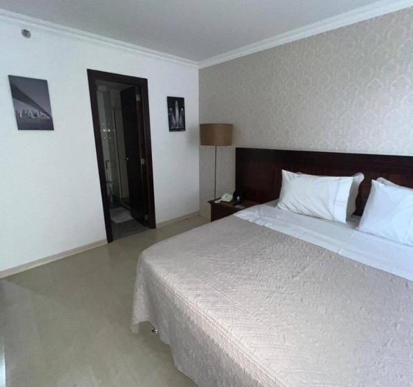 هتل Brasil 21 Bl D