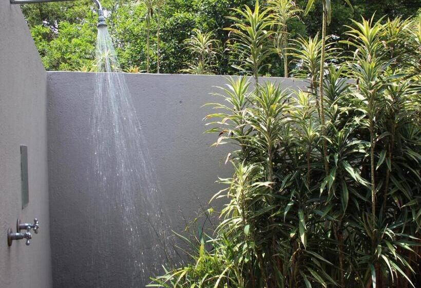 بنسيون Ambience Inn