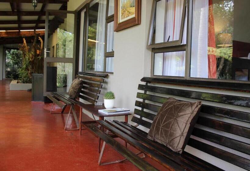 بنسيون Ambience Inn