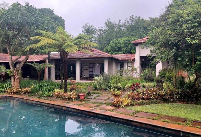 بنسيون Ambience Inn