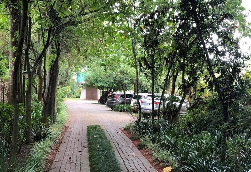 بنسيون Ambience Inn