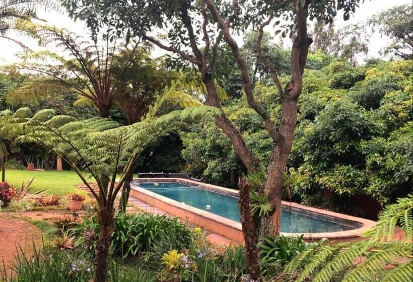 بنسيون Ambience Inn