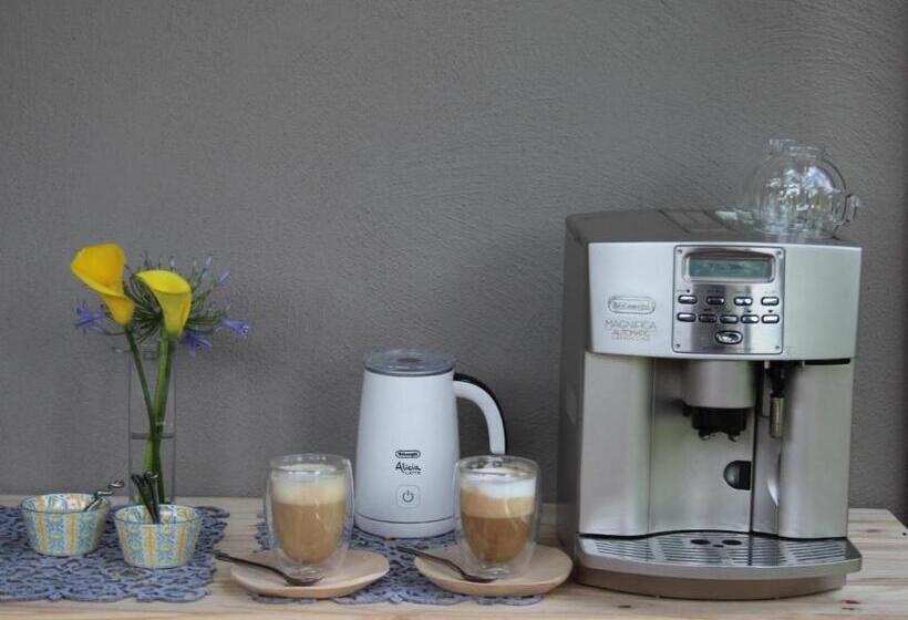 بنسيون Ambience Inn