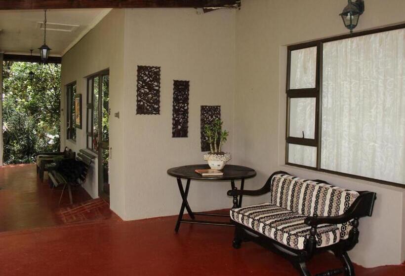 بنسيون Ambience Inn