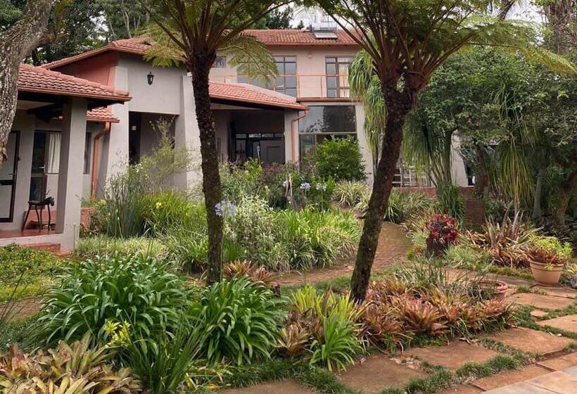 بنسيون Ambience Inn