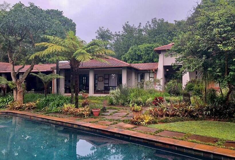 بنسيون Ambience Inn