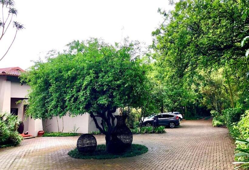 بنسيون Ambience Inn