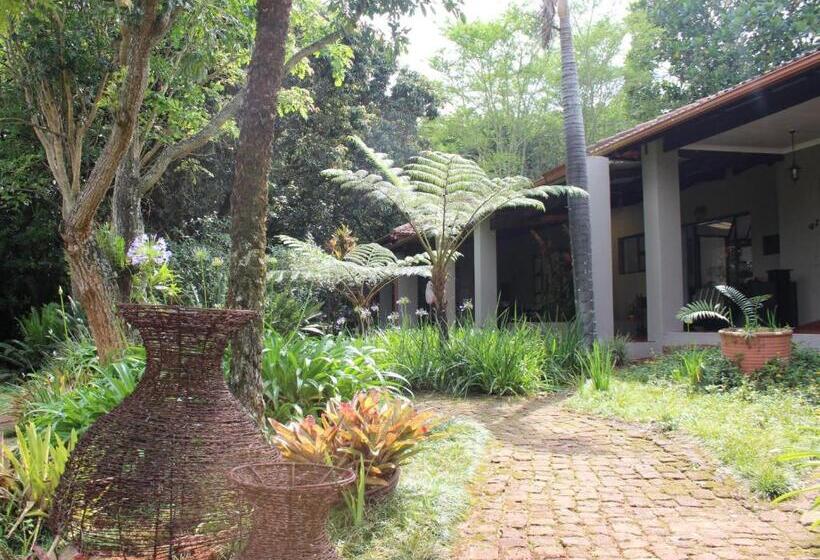 بنسيون Ambience Inn