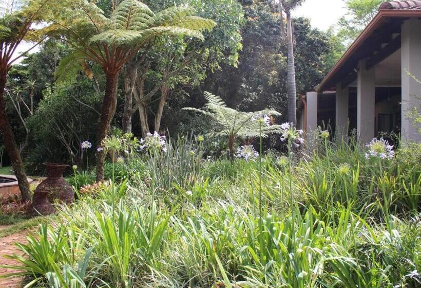 بنسيون Ambience Inn