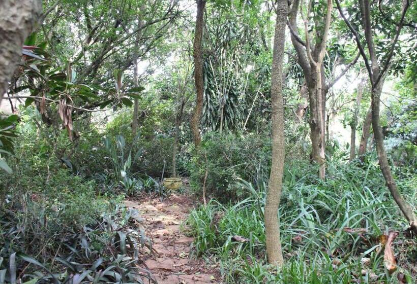 بنسيون Ambience Inn