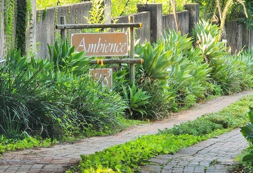 بنسيون Ambience Inn