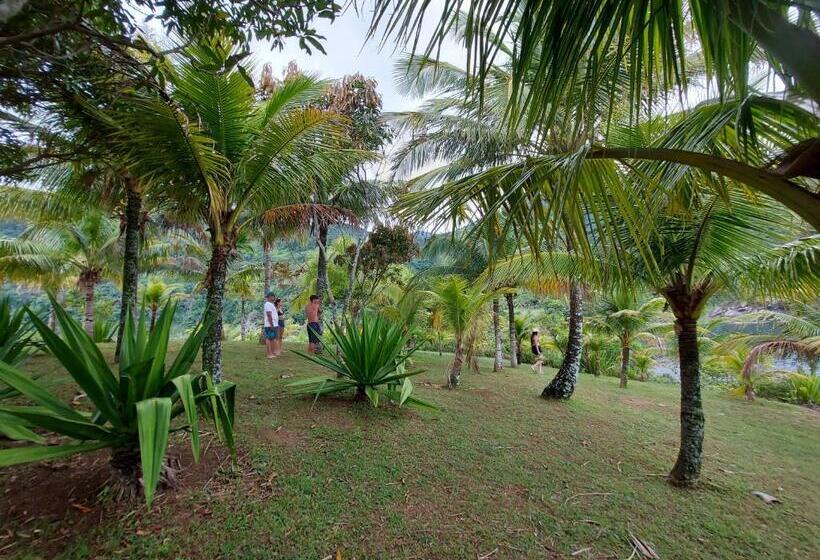 膳宿费 Quintal Da Mata