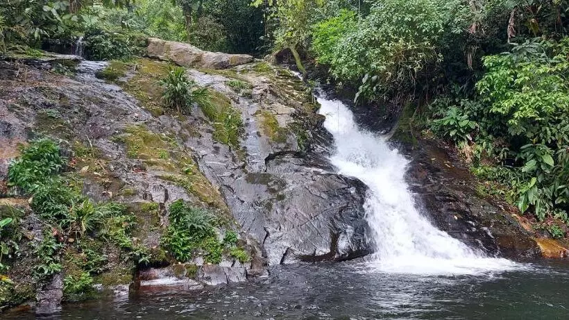 Majatalo Quintal Da Mata