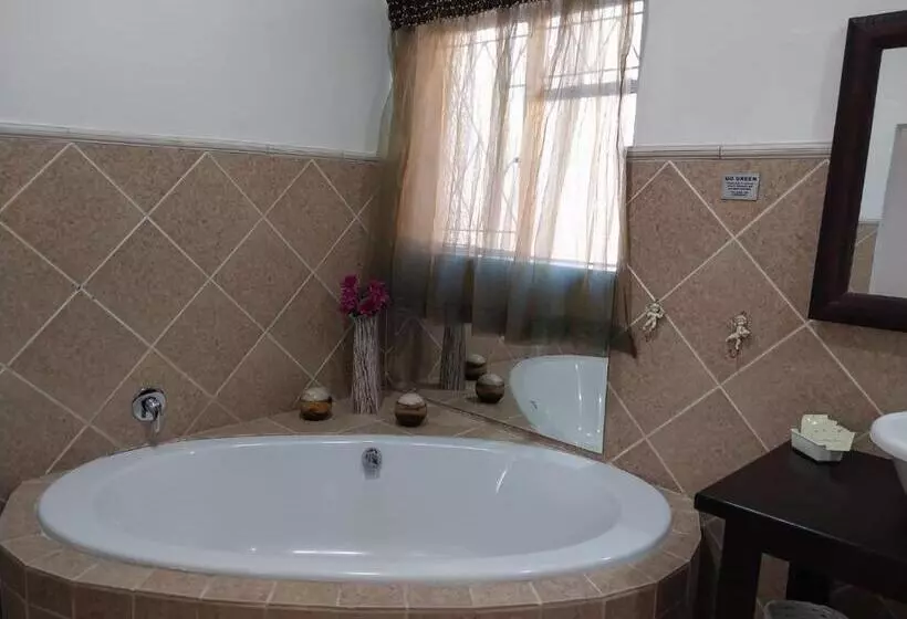 ペンション Sweet Dreams Guest House Schweizer Reneke