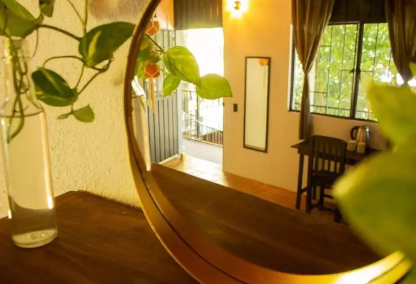 ユースホステル Casa Niita