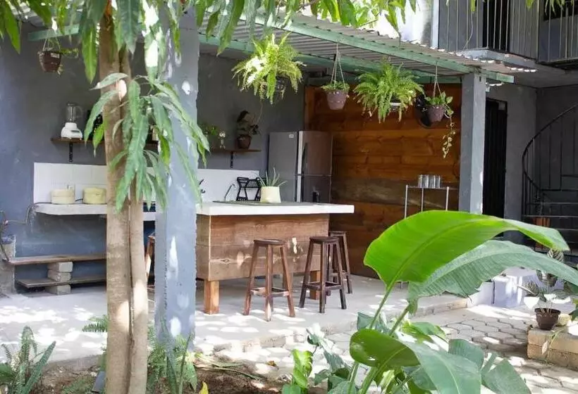 ユースホステル Casa Niita