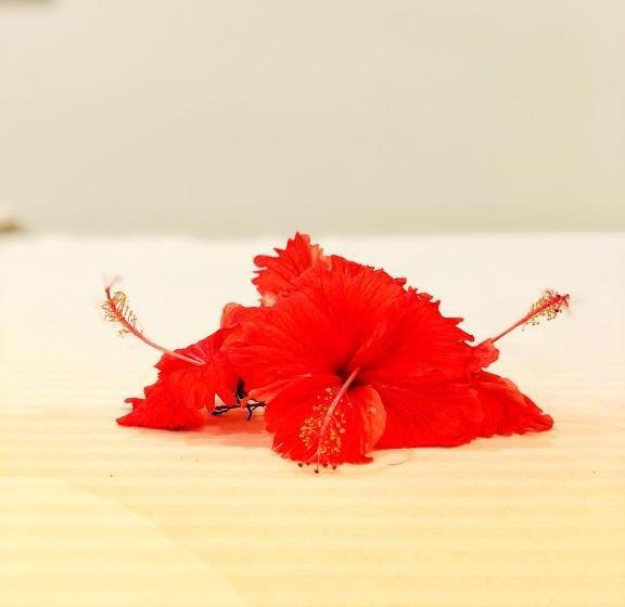 בית מלון כפרי Paradise Garden Beruwala