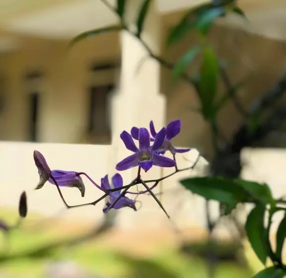 هتل Paradise Garden Beruwala