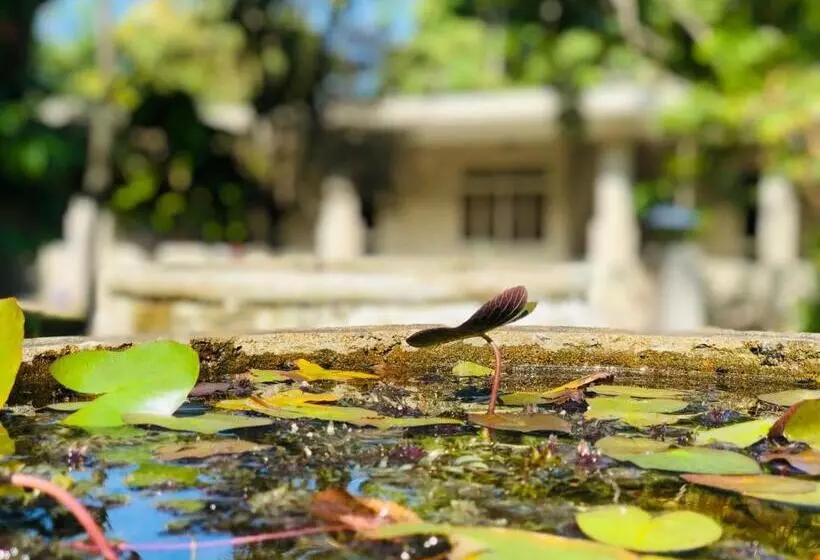 هتل Paradise Garden Beruwala