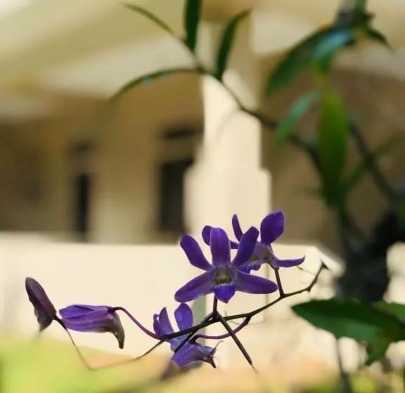 هتل Paradise Garden Beruwala