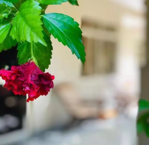 هتل Paradise Garden Beruwala