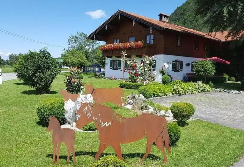 ホテル Schusterhof